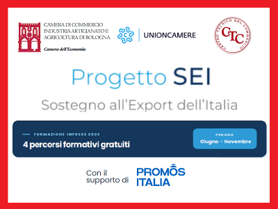 PROGETTO SEI: POSIZIONAMENTO COMPETITIVO E STRATEGIE DI MARKETING E PRICING, WEBINAR IL 9/7