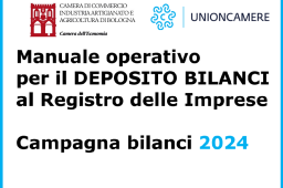 Manuale bilanci 2024 Manuale bilanci 2024