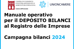 Manuale bilanci 2024