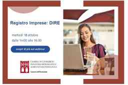 REGISTRO IMPRESE DIRE, PER COMPILARE BENE LE PRATICHE REGISTRO IMPRESE DIRE, PER COMPILARE BENE LE PRATICHE