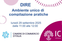 REGISTRO IMPRESE DIRE, PER COMPILARE BENE LE PRATICHE REGISTRO IMPRESE DIRE, PER COMPILARE BENE LE PRATICHE