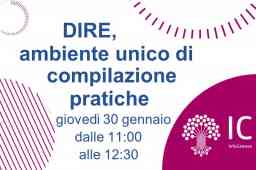 REGISTRO IMPRESE DIRE, PER COMPILARE BENE LE PRATICHE REGISTRO IMPRESE DIRE, PER COMPILARE BENE LE PRATICHE