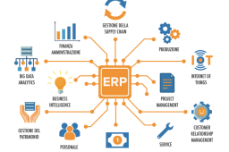 COME SCEGLIERE UN SISTEMA GESTIONALE ERP