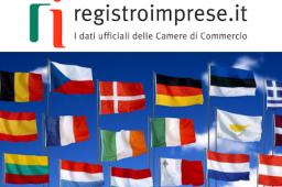 LE VISURE DELLE IMPRESE ESTERE ED EUROPEE LE VISURE DELLE IMPRESE ESTERE ED EUROPEE