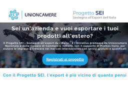 LE MISURE FINANZIARIE PER L’INTERNAZIONALIZZAZIONE LE MISURE FINANZIARIE PER L’INTERNAZIONALIZZAZIONE