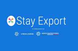 Informazione, formazione e accompagnamento all’estero con Stay Export