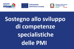 AGEVOLAZIONI PER LE PMI PER LE TRANSIZIONI VERDE E DIGITALE