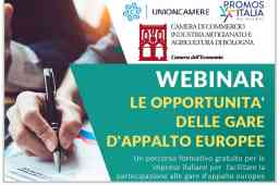PARTECIPA CON LA TUA IMPRESA ALLE GARE D’APPALTO EUROPEE locandina ciclo webinar gare d'appalto europee