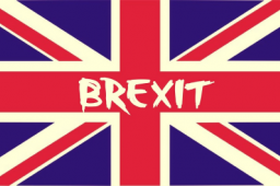 BREXIT: ESPORTARE VERSO IL REGNO UNITO DA GENNAIO 2021 BREXIT: ESPORTARE VERSO IL REGNO UNITO DA GENNAIO 2021
