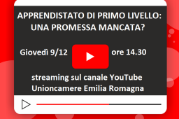 L’IMPORTANZA DELL’APPRENDISTATO DI PRIMO LIVELLO PER IMPRESE E STUDENTI L’IMPORTANZA DELL’APPRENDISTATO DI PRIMO LIVELLO PER IMPRESE E STUDENTI
