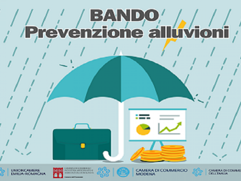 bando prevenzione alluvioni - pioggia, ombrello che copre valigetta e soldi, loghi enti
