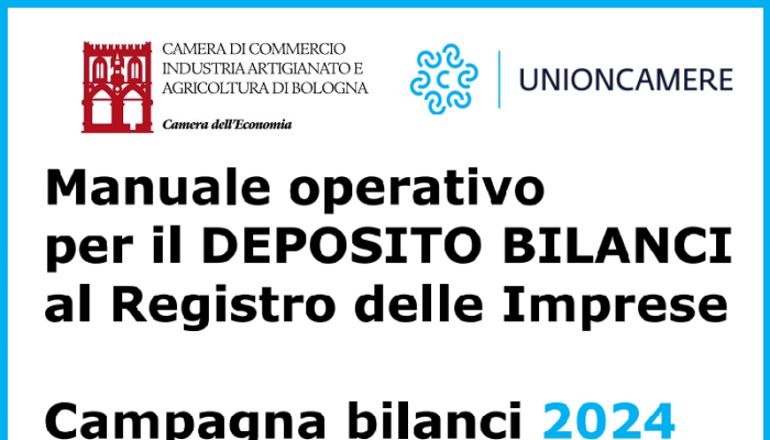 Manuale bilanci 2024