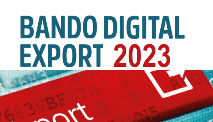 RAFFORZA LA TUA IMPRESA, PARTECIPA AL BANDO DIGITAL EXPORT