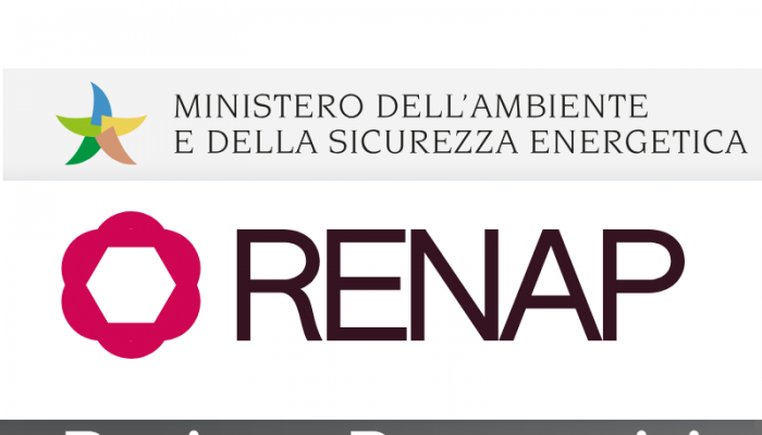 logo RENAP