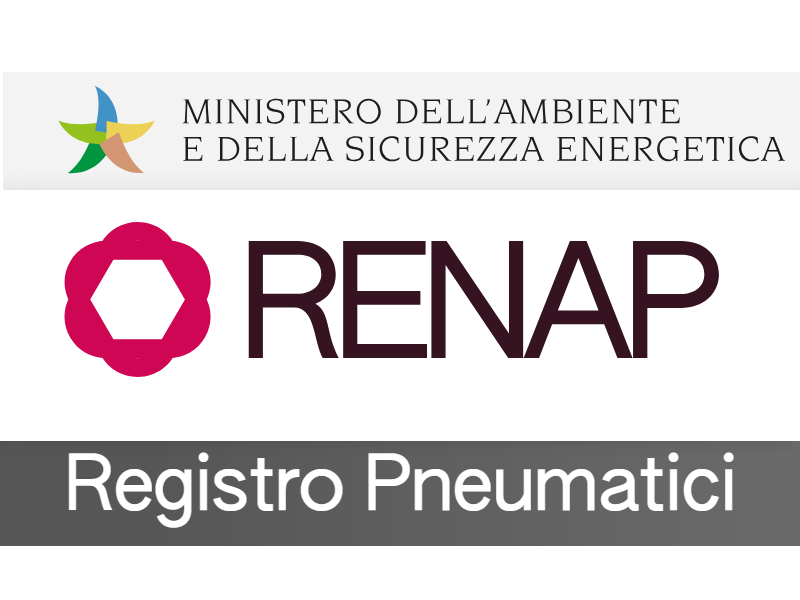 logo RENAP