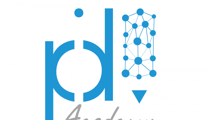 logo PID Academy