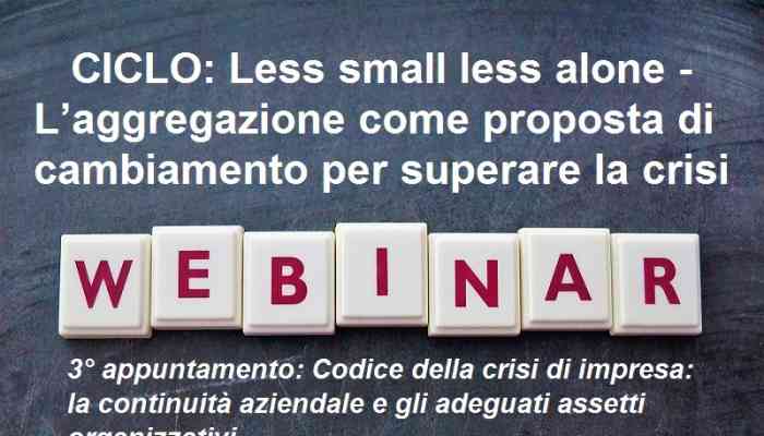 LA CONTINUITÀ AZIENDALE E GLI ADEGUATI ASSETTI ORGANIZZATIVI
