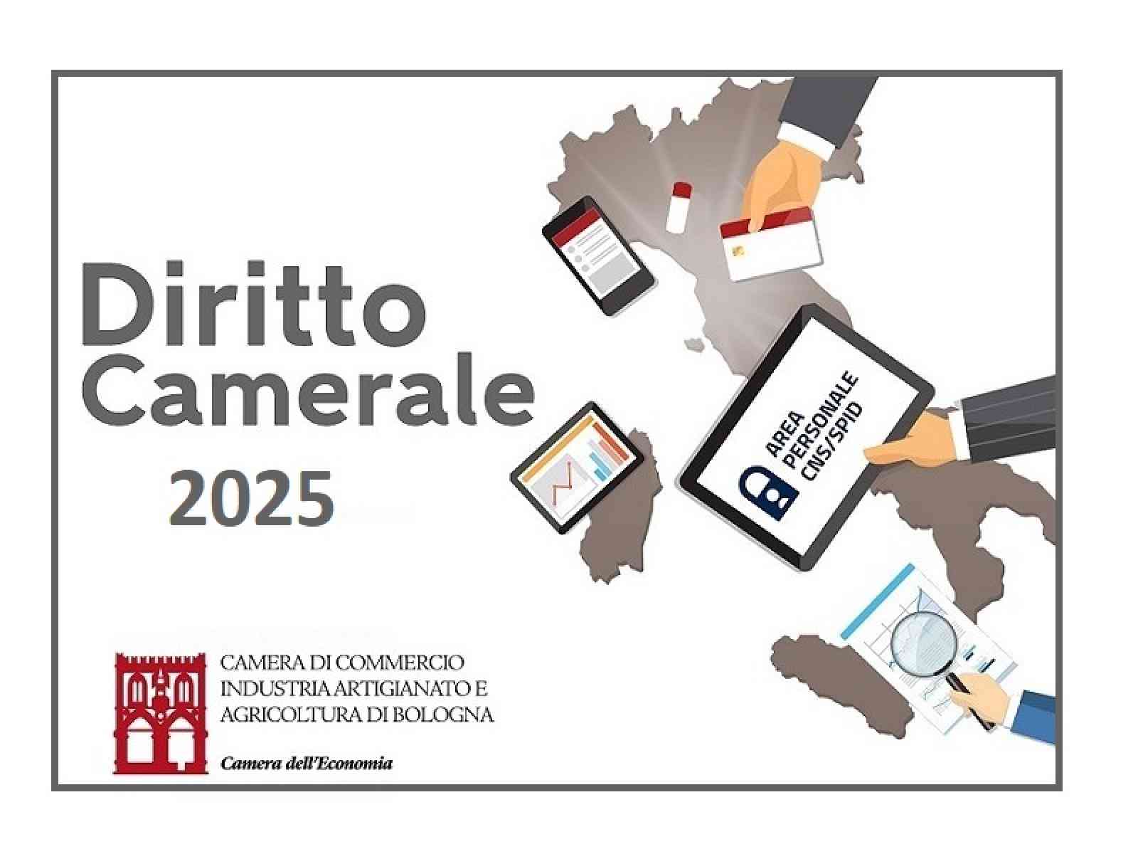 DIRITTO ANNUALE 2025