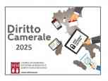 DIRITTO ANNUALE 2025