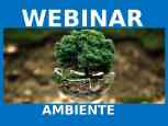 AMBIENTE: LA MANUTENZIONE DEL VERDE 